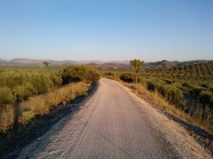 Vía Verde del Aceite Jaén